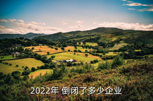 2022年 倒閉了多少企業(yè)