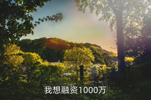 我想融資1000萬