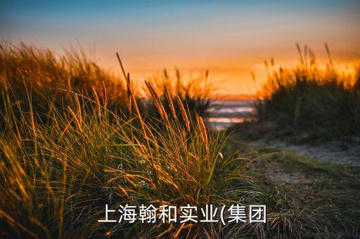 上海翰中財(cái)行怎么樣,上海中財(cái)信會計(jì)師事務(wù)所怎么樣