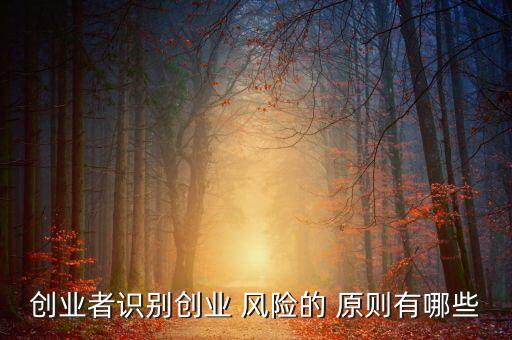 創(chuàng)業(yè)者識(shí)別創(chuàng)業(yè) 風(fēng)險(xiǎn)的 原則有哪些