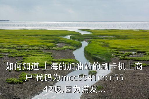 如何知道 上海的加油站的刷卡機(jī)上商戶 代碼為mcc5541mcc5542呢,因為浦發(fā)...