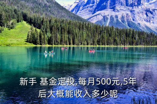 新手 基金定投,每月500元,5年后大概能收入多少呢