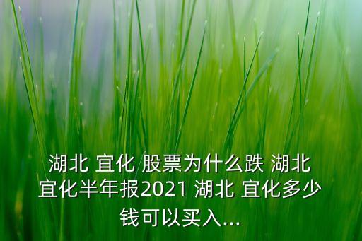  湖北 宜化 股票為什么跌 湖北 宜化半年報(bào)2021 湖北 宜化多少錢可以買入...