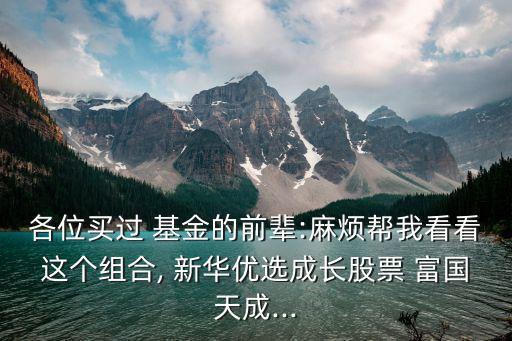 各位買過 基金的前輩:麻煩幫我看看這個(gè)組合, 新華優(yōu)選成長股票 富國天成...