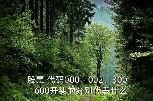  股票 代碼000、002、300、600開頭的分別代表什么