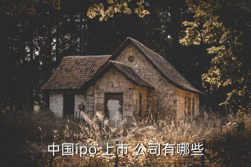 中國ipo 上市 公司有哪些