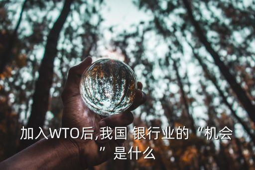 加入WTO后,我國 銀行業(yè)的“機(jī)會”是什么