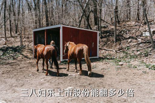 三八婦樂上市股份能翻多少倍