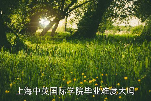 上海中英國際學(xué)院畢業(yè)難度大嗎