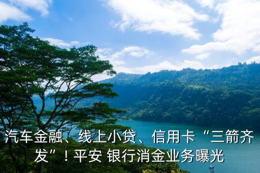 汽車金融、線上小貸、信用卡“三箭齊發(fā)”! 平安 銀行消金業(yè)務(wù)曝光