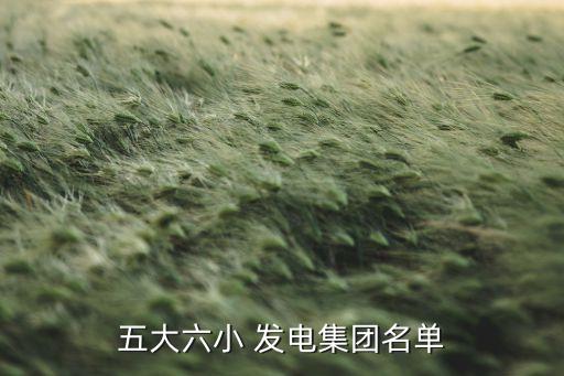 浙江豐源發(fā)電有限公司,山東豐源生物質(zhì)發(fā)電有限公司