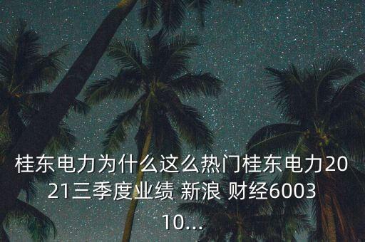 桂東電力為什么這么熱門桂東電力2021三季度業(yè)績 新浪 財經(jīng)600310...