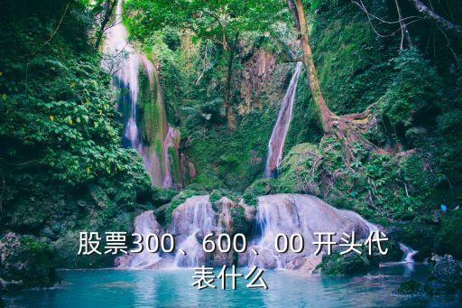  股票300、600、00 開頭代表什么