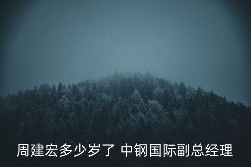 周建宏多少歲了 中鋼國(guó)際副總經(jīng)理