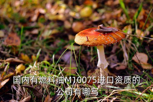 國內(nèi)有燃料油M10075進口資質(zhì)的 公司有哪寫