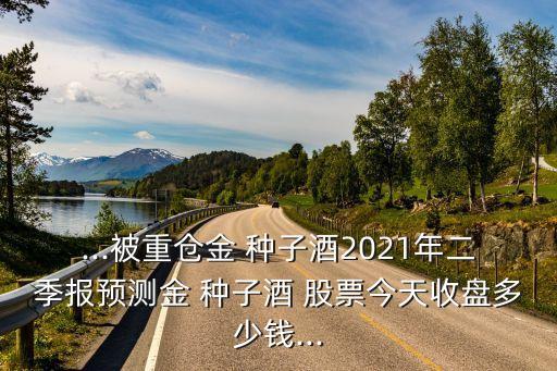 ...被重倉金 種子酒2021年二季報預測金 種子酒 股票今天收盤多少錢...