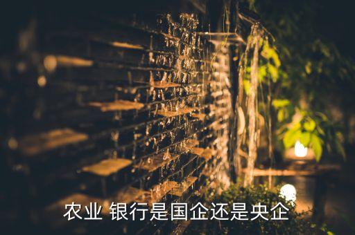 中國農(nóng)業(yè)銀行是上市銀行嗎,下載中國農(nóng)業(yè)銀行掌上銀行