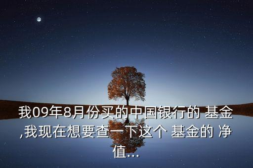 我09年8月份買的中國銀行的 基金,我現(xiàn)在想要查一下這個(gè) 基金的 凈值...