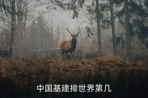 中國基礎(chǔ)設(shè)施超美國,美國的基礎(chǔ)設(shè)施真的差嗎