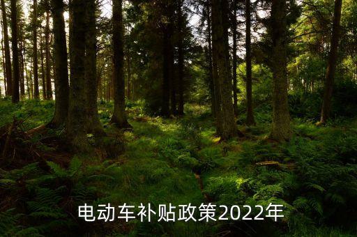  電動(dòng)車(chē)補(bǔ)貼政策2022年