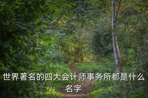 世界著名的四大會(huì)計(jì)師事務(wù)所都是什么名字