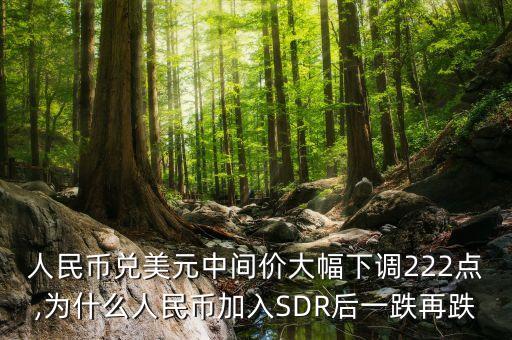 中國10月加入sdr,中國加入ICH