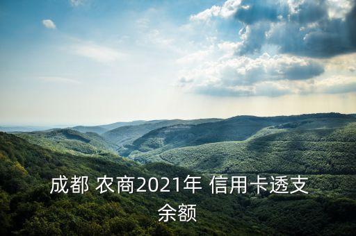  成都 農(nóng)商2021年 信用卡透支余額