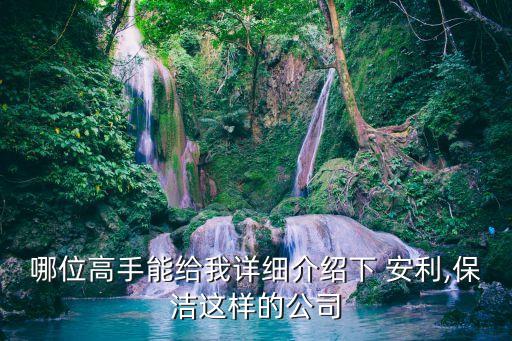 哪位高手能給我詳細(xì)介紹下 安利,保潔這樣的公司