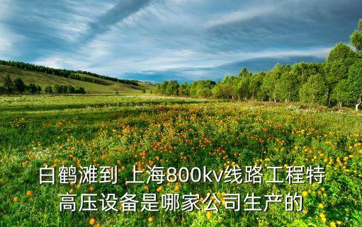 白鶴灘到 上海800kv線路工程特高壓設(shè)備是哪家公司生產(chǎn)的