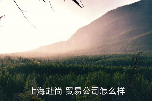  上海赴尚 貿(mào)易公司怎么樣