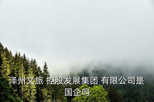 澤州文旅 控股發(fā)展集團(tuán) 有限公司是國企嗎