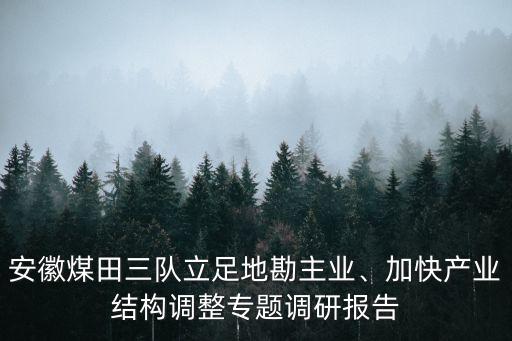 安徽煤田三隊立足地勘主業(yè)、加快產(chǎn)業(yè)結(jié)構(gòu)調(diào)整專題調(diào)研報告