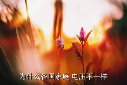 為什么各國家庭 電壓不一樣