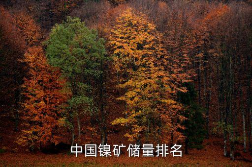 中國中冶瑞木鎳紅土礦項目投產(chǎn)