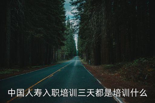 中國人壽保險(xiǎn)講座