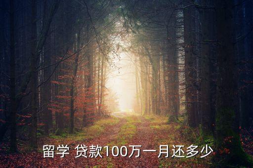  留學(xué) 貸款100萬一月還多少