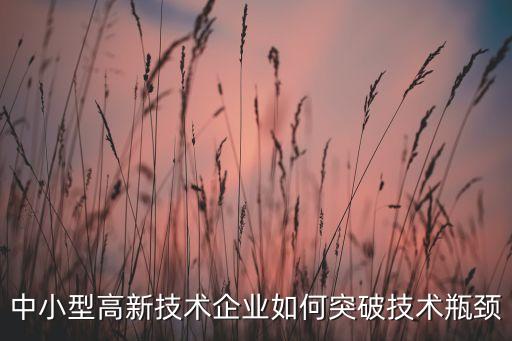 西安中小民營公司代表,西安民營火箭公司