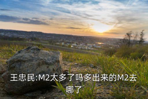 王忠民:M2太多了嗎多出來的M2去哪了