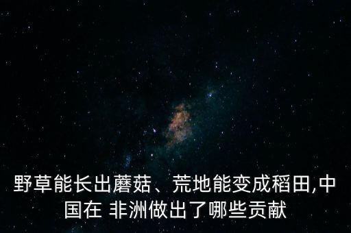 野草能長出蘑菇、荒地能變成稻田,中國在 非洲做出了哪些貢獻(xiàn)