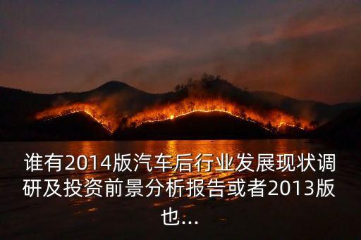 誰(shuí)有2014版汽車后行業(yè)發(fā)展現(xiàn)狀調(diào)研及投資前景分析報(bào)告或者2013版也...