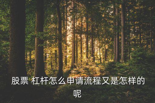 保定股票配資杠桿資金,股票配資最高杠桿是多少