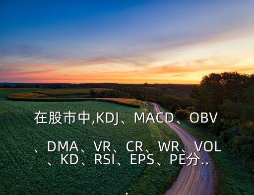 在股市中,KDJ、MACD、OBV、DMA、VR、CR、WR、VOL、KD、RSI、EPS、PE分...