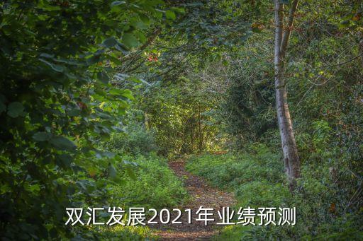 雙匯發(fā)展2021年業(yè)績(jī)預(yù)測(cè)