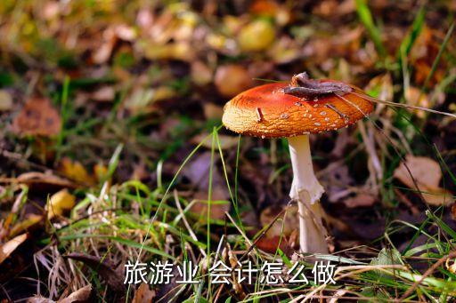 旅游開發(fā)公司會計處理,研究階段開發(fā)階段會計處理