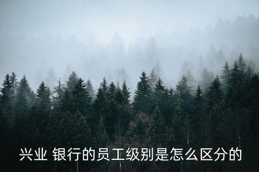  興業(yè) 銀行的員工級別是怎么區(qū)分的