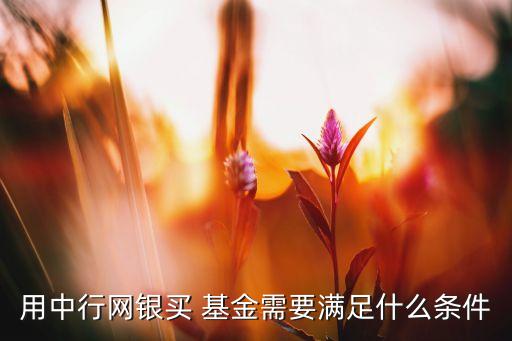 用中行網(wǎng)銀買 基金需要滿足什么條件