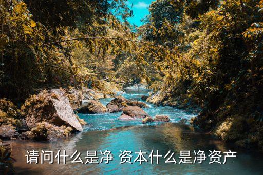 請(qǐng)問(wèn)什么是凈 資本什么是凈資產(chǎn)