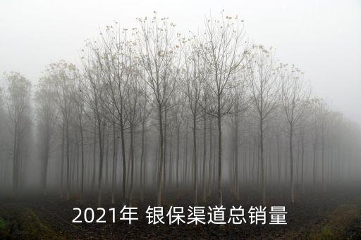 2021年 銀保渠道總銷量