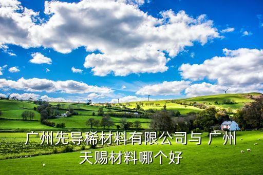  廣州先導(dǎo)稀材料有限公司與 廣州 天賜材料哪個(gè)好