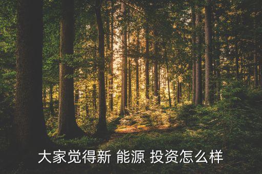 大家覺得新 能源 投資怎么樣